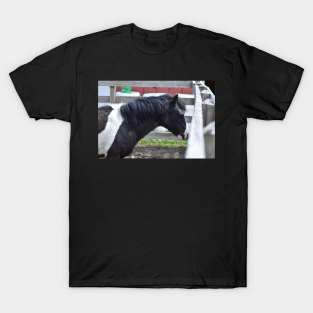 Pony T-Shirt